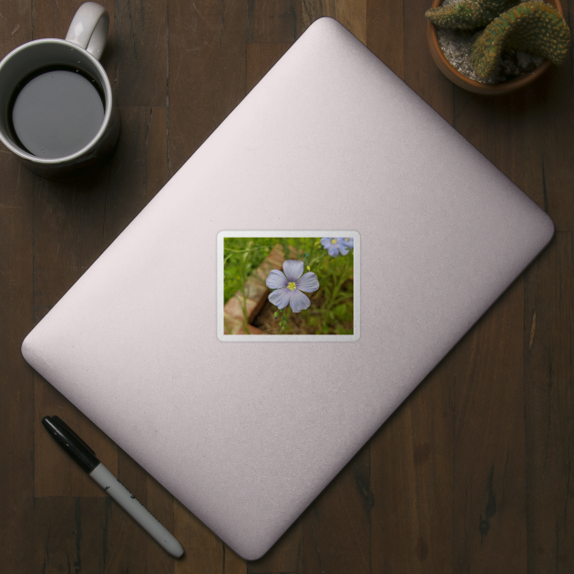 Purple Flower in Brick Planter Photographic Image by AustaArt